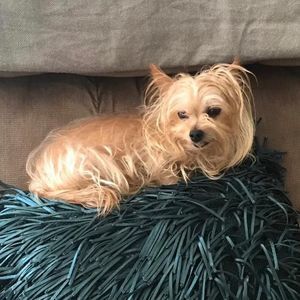 Meet your Posher, Kevin